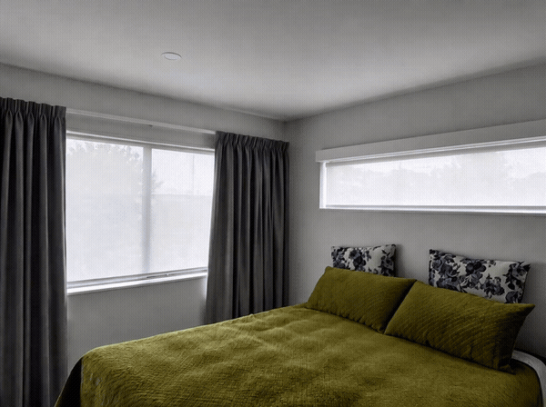 Curtains & Blinds